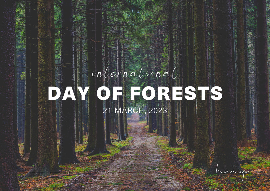 Logo & banners, International Day of Forests